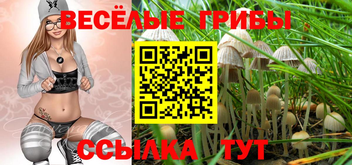 Галлюциногенные грибы GOLDEN TEACHER Батайск
