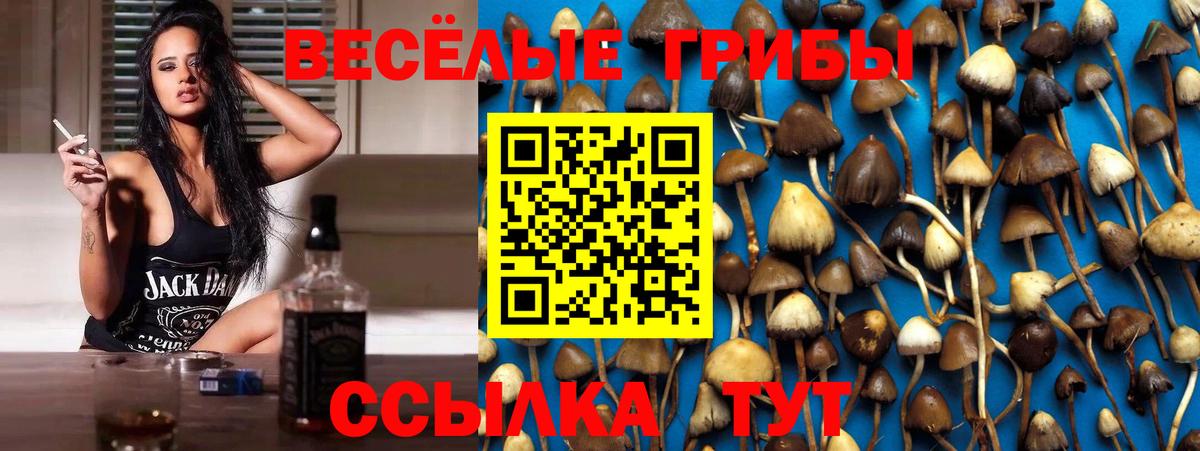 Галлюциногенные грибы Psilocybe  как найти закладки  Батайск  Псилоцибиновые грибы мухоморы  Вход с VPN 